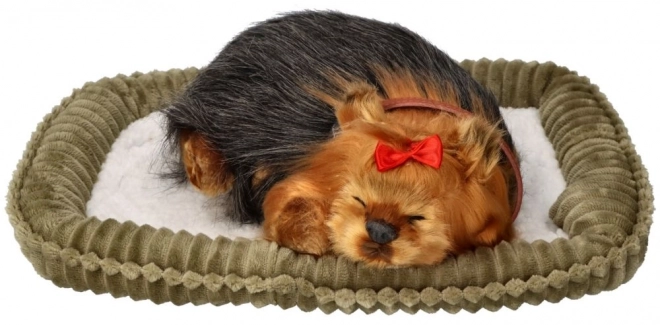 Perfect Petzzz Blaffende Yorkie Puppy