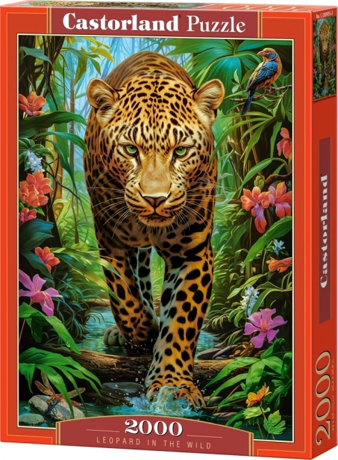 Puzzel Luipaard in het wild van Castorland, 2000 stukjes