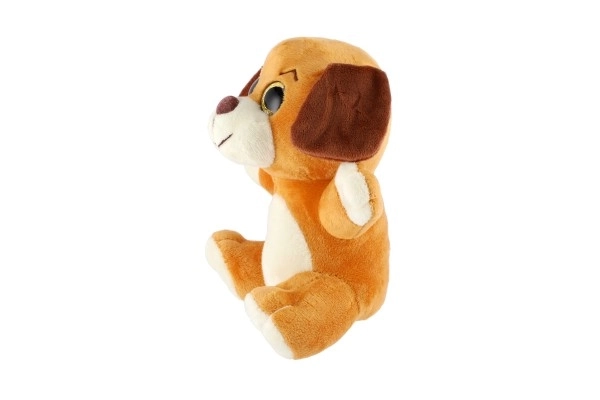 Pluche dier groot ogen 18 cm op kaart