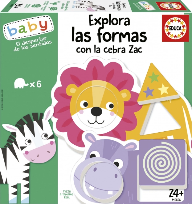 EDUCA Baby encastreur Explore les formes avec le zèbre Zak 6x2 pièces
