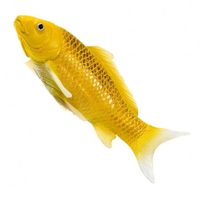 Mojo karper koi Matsuba
