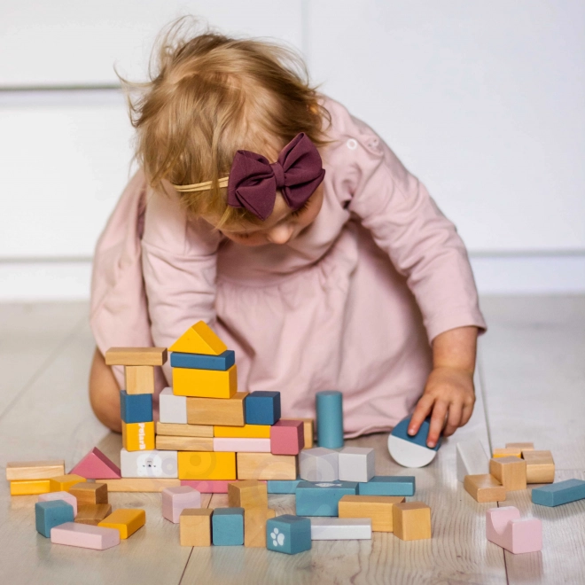 Wooden Block Set 60 Pieces