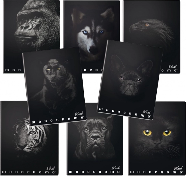 Cahier scolaire A4 Monocromo noir