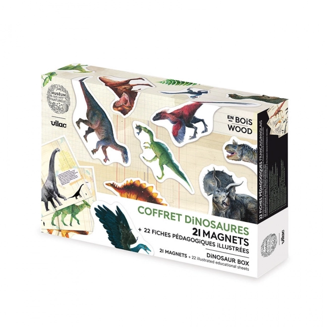 Vilac Magneten Dinosaurier