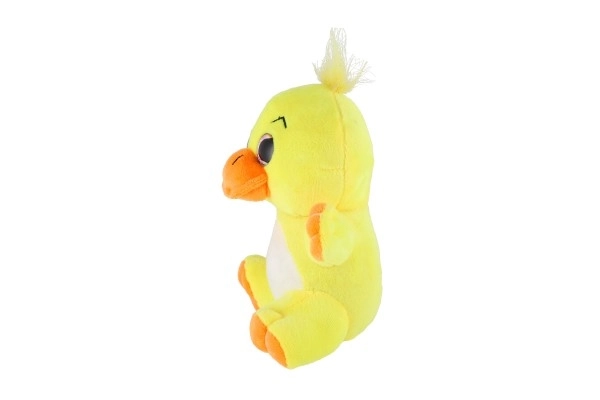 Pluche dier groot ogen 18 cm op kaart