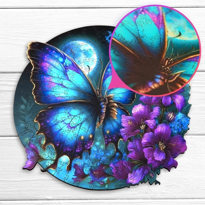 Couleurs vives et design circulaire