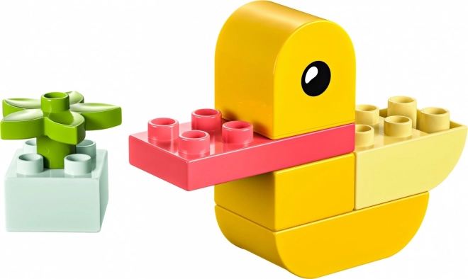 DUPLO Mein erstes Entchen 4 in 1