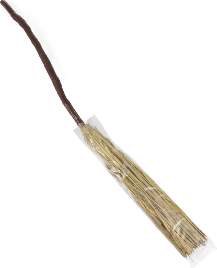 Ideales Accessoire für ein Hexenkostüm