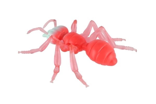 Anti-stress Ant