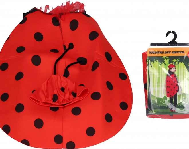 Ladybug Costume for Carnival