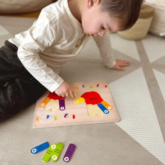 Educational Wooden Puzzle Hands Counting and Colors