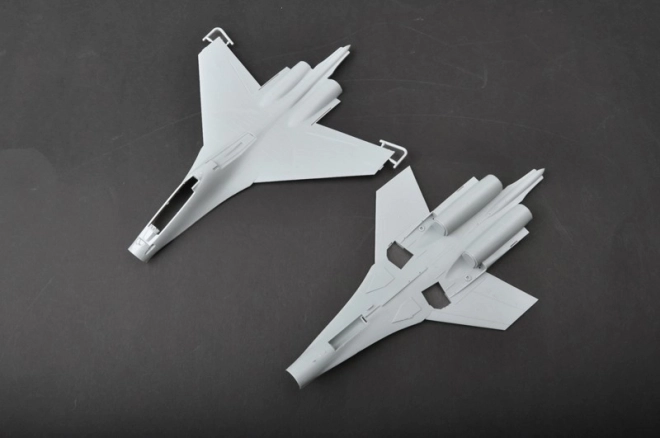 Russisch gevechtsvliegtuig Su-30MKK Flanker G
