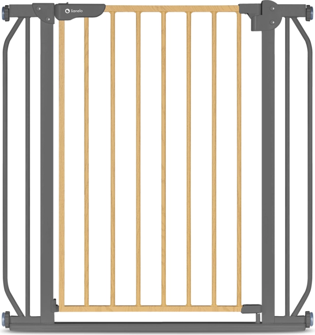 Double safety system