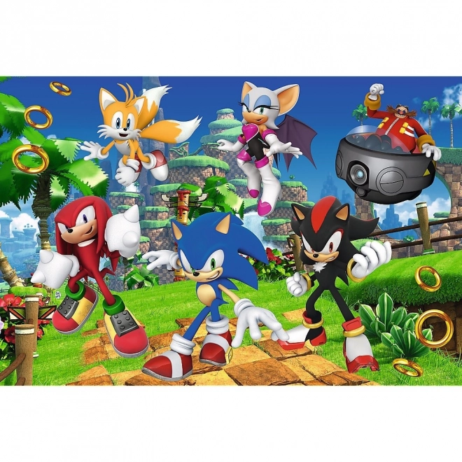 Puzzle Sonic and Friends 160 Pieces