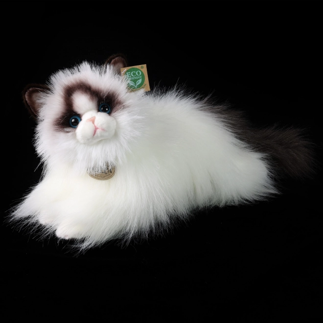 Plush Ragdoll cat 35 cm ecological