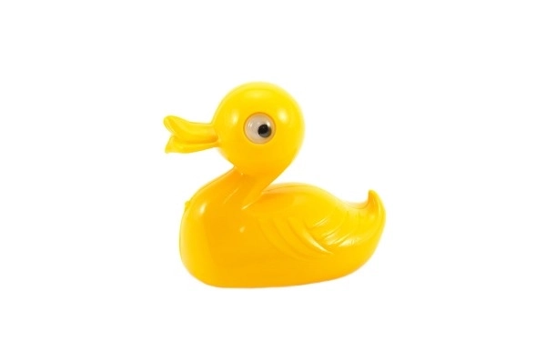 Plastic badeendje