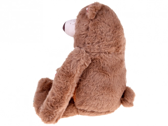 Süßer Plüschbär Theodor
