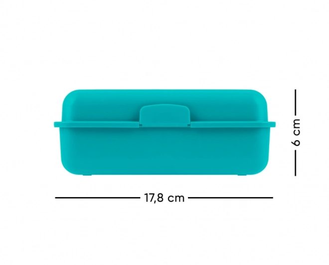 Snack Box with Dolphin Design