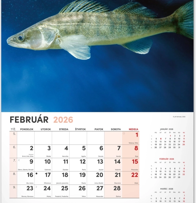 Muurkalender Vissen 2026