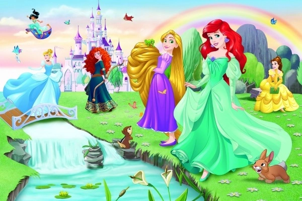 Puzzel Ontmoet de prinsessen 33x22cm 60 stukjes in doos 21x14x4cm