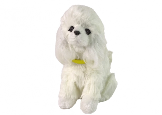 Interactieve hond poedel Pluche hond blaft en beweegt met zijn staart