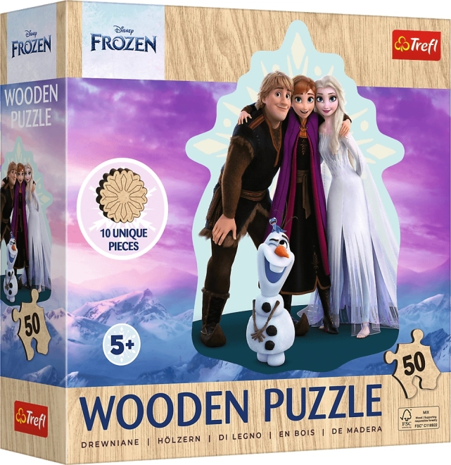 Frozen Wooden Puzzle – 50 Pieces