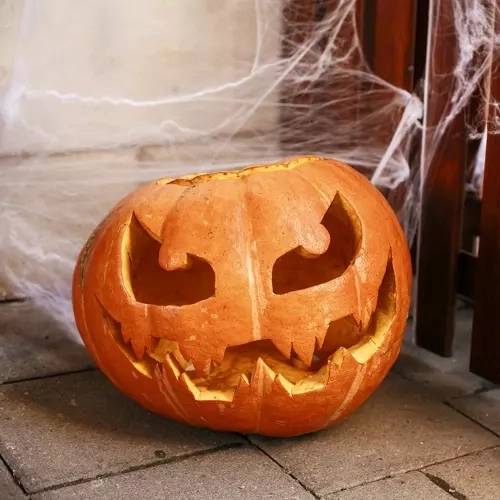 Halloween kunstmatige spinnenweb met spinnen