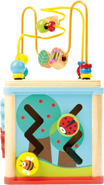Learning shapes, colors, and time