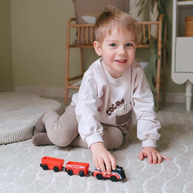 Elektrische locomotief met magnetische wagons