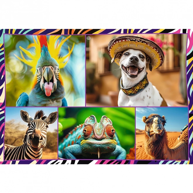 Jigsaw Puzzle Set - Funny Animals