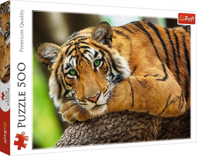 Puzzle Portrait de Tigre 500 pièces
