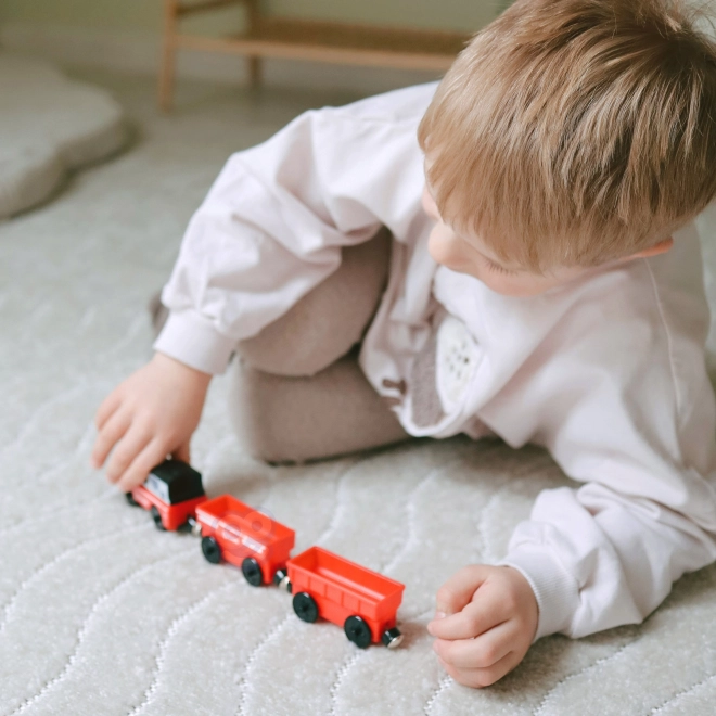 Elektrische locomotief met magnetische wagons