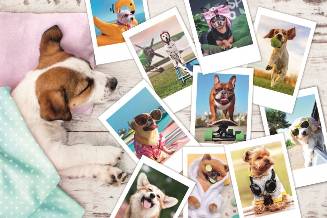 Puzzle 300 Teile - Urlaubsfotos