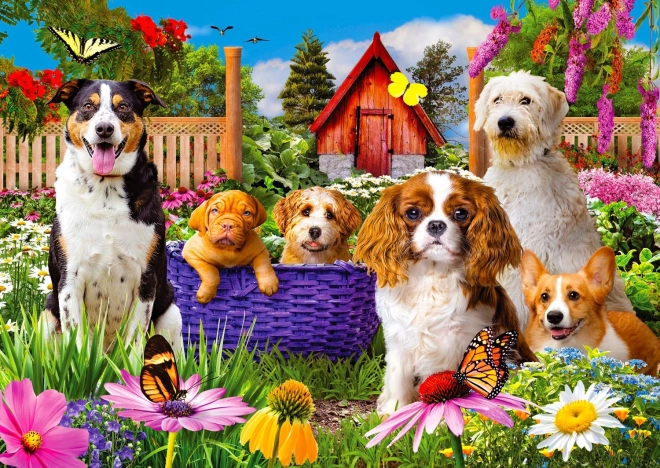 Geniet van Puzzel Paw Patrol 1000 stukjes