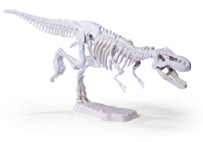 Gedetailleerde dinosaurussenmodellen