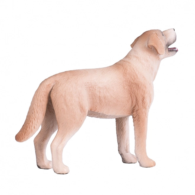 Realistische Labrador-figuur