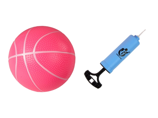 Pink Basketball and Pump