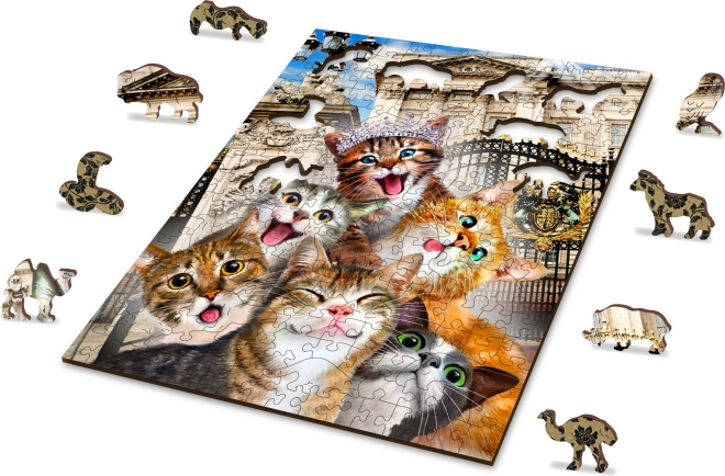 Dubbelzijdige puzzel 2 in 1