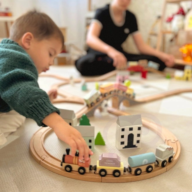 Tooky Toy houten magnetische treinwagons