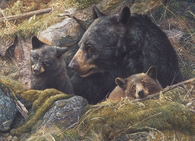Puzzle Famille d’ours de Cobble Hill 1000 pièces