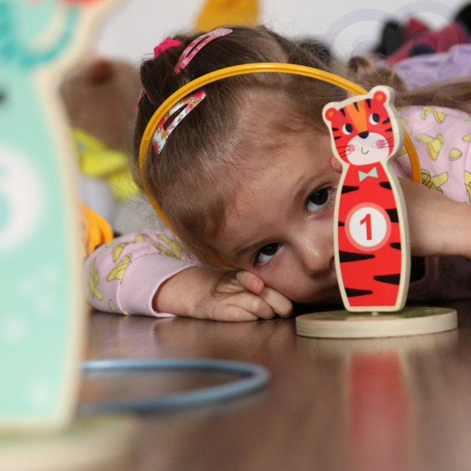 Tooky Toy Wooden Target Toss Game