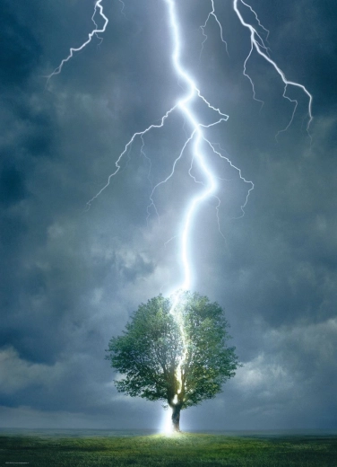 Eurographics puzzle Tree Struck by Lightning 1000 pieces