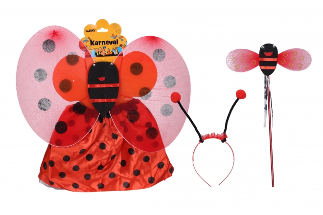 Carnavalskostuum Lieveheersbeestje