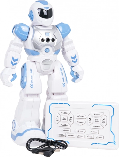 Motion programming and demo mode