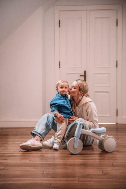 Loopfiets MoMi TEDI mini groen