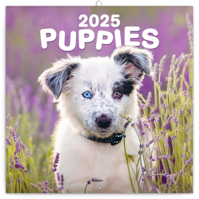 Notitiekalender Puppies 2025, 30 × 30 cm