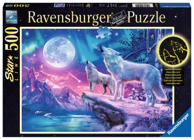 Ravensburger puzzel poollicht 1000 stukjes
