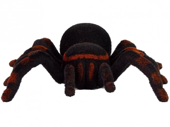 Unterhaltsame ferngesteuerte Spinne Tarantel