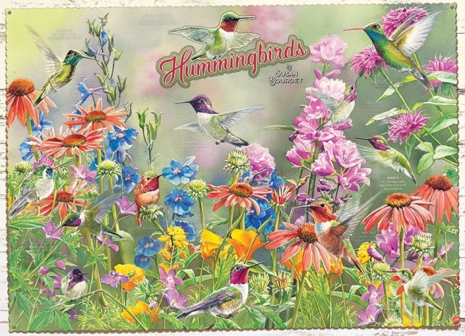 Puzzle colibris 1000 pièces COBBLE HILL