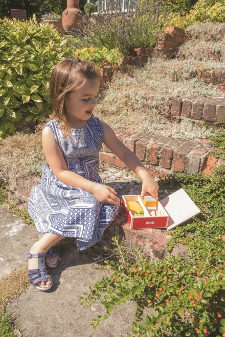 Bigjigs Toys Lunchbox